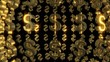 Gold dollar signs loop round