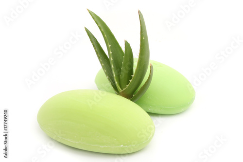 Photo: soap soap