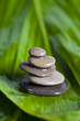 Zen Zen