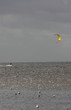 kite surfer