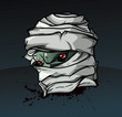 The head of the mummy