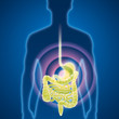 Magen, Darm, Magenmedizin, Untersuchung Magen, Darm, Magenmedizin, Untersuchung