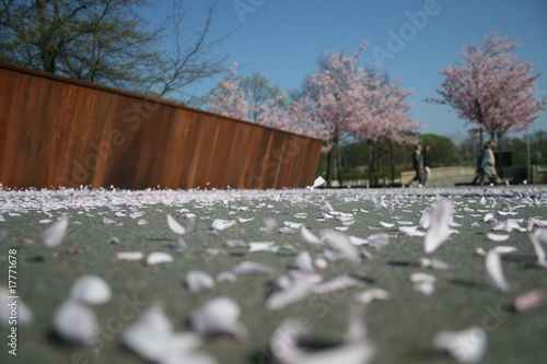 Photo: Frühling Frühling