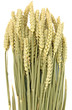 bouquet blé sec bouquet blé sec