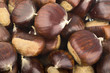 Castagne 4 10 09