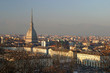 Torino panorama