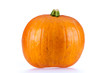 Zucca