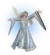 Winter Angel