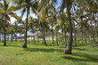 Playa Isla de pascua Anakena