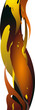 flammes