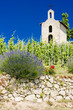 vineyard and Chapel of St. Christopher, Hermitage, France vineyard and Chapel of St. Christopher, Hermitage, France