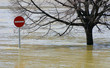 flood flood