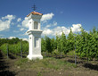 village chapel with wineyard near Perna, Czech Republic