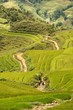 Sapa, Vietnam