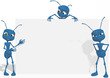 Blue ant 02