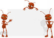 Illustration: Red ant 02 Red ant 02