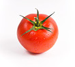 Tomate saftig rot