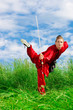 Tai chi girl