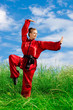 Tai chi girl
