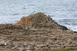 irlanda