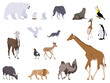 Vektor: set of wild animals, collage style drawing set of wild animals, collage style drawing