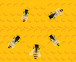 bees on honey beehive