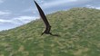 Flugsaurier Quetzlcoatlus