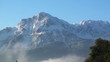 kühe auf der alm vor den bergen in bayern