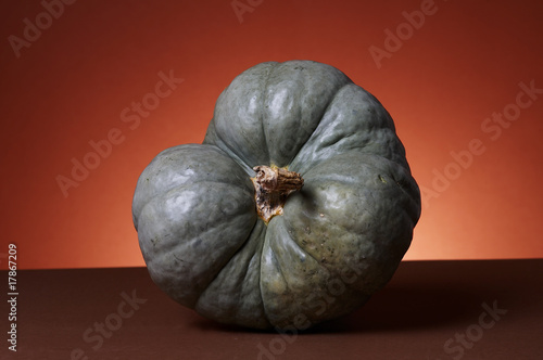 Photo: Studio shot of pumpkins Studio shot of pumpkins