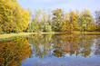 Seasons - autumn scenery.