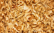 wood shavings