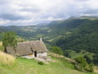 paysage