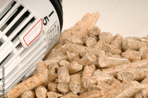 Holzpellets als regenerative Energie und Bioenergie aus Bäumen Holzpellets als regenerative Energie und Bioenergie aus Bäumen