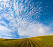 Foto: Beautiful view over the Port Wine vineyards in Douro, Portugal Beautiful view over the Port Wine vineyards in Douro, Portugal