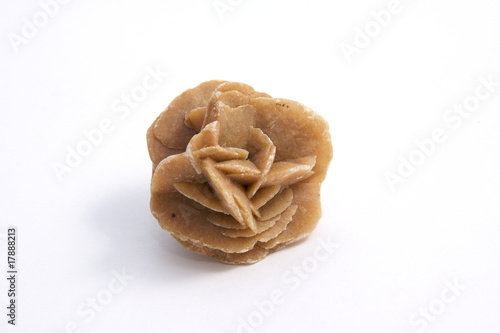 Photo: Small piece of a dessert rose, in front of a white background. Small piece of a dessert rose, in front of a white background.