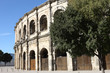 arènes arbre