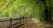 Old wooden fence by ground road and forest in autumn Old wooden fence by ground road and forest in autumn