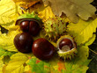 Chestnuts