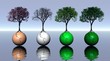 Four colored trees and earth for four seasons Four colored trees and earth for four seasons
