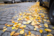 Herbstlaub auf Kopfsteinpflaster
