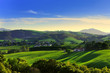vue basque