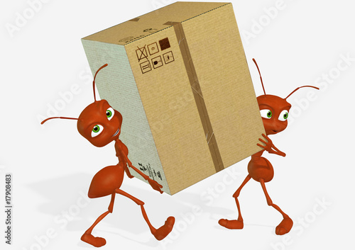 Illustration: Red ant 14 Red ant 14