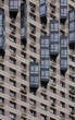 windows windows
