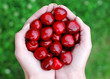 Cherries and hand 3