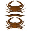crab