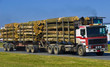 logging truck logging truck