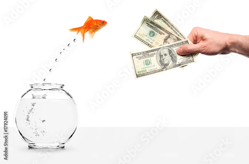 Foto: goldfish jumping out of fishbowl temped by cash goldfish jumping out of fishbowl temped by cash
