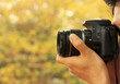 Photographer Taking A Shoot With A Digital Camera