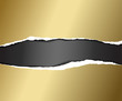 Vector ripped golden paper Vector ripped golden paper