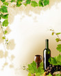 Red wine and grapevine frame